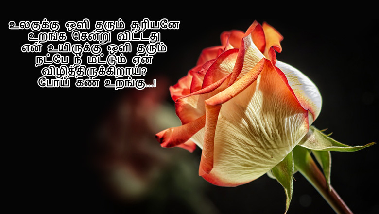 Good Night Wishing Tamil Kavithai For Friends | Tamil.LinesCafe.com