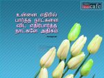 Kanaga Valli Love Poems With HD Images