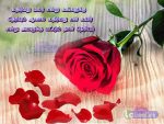 Love And Rose Quotes In Tamil