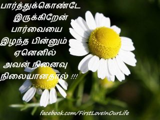 Tamil Missing Love Feeling Kavithai