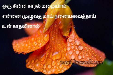 Beautiful Tamil Kavithai With Flowers காதல் கவிதை வரிகள் தமிழ் கவிதைகள் போட்டோ படங்கள்
