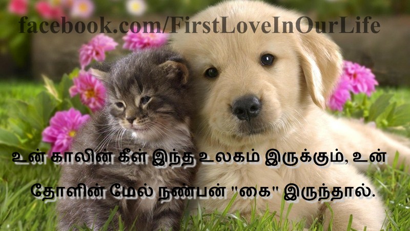Friendship Tamil Quotes<strong>(Image Download)</strong>


Un Kaalin Keel Intha Ulagam Erukum Un Tholin Mel Nanban Kai Erunthal
