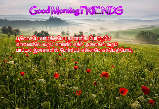 Good Morning Friends Greetings In Tamil கவிதை வரிகள் தமிழ் கவிதைகள் போட்டோ படங்கள்