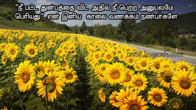 Good Morning Tamil Quotes Greetings கவிதை வரிகள் தமிழ் கவிதைகள் போட்டோ படங்கள்