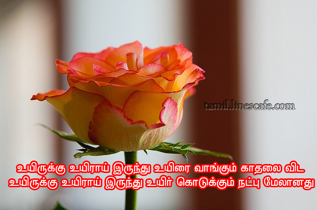 Cute Friendship Poem In Tamil With Photo 