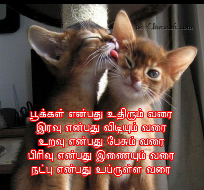 Latest 2014 Friendship Quotes In Tamil நட்பு கவிதை வரிகள் தமிழ் கவிதைகள் போட்டோ படங்கள்