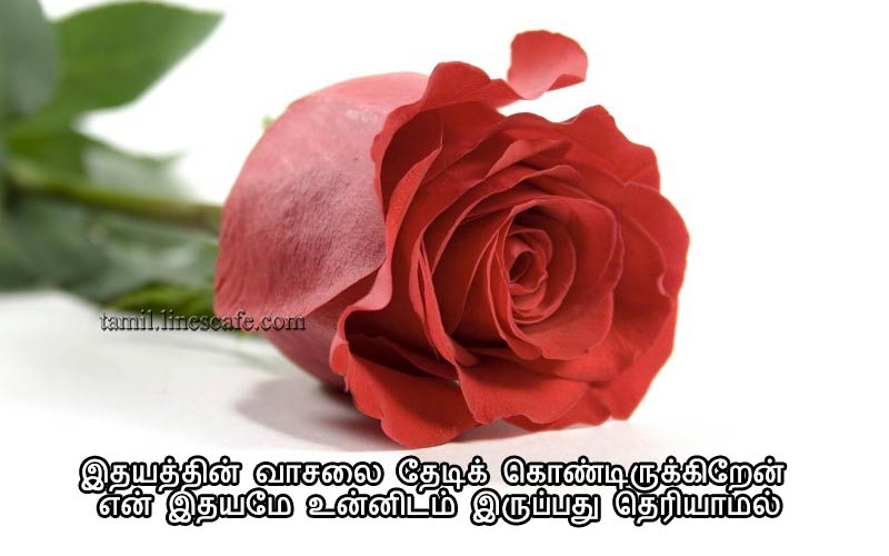 Lonely Feeling Alone Love Quotes In Tamil With Rose Pictures பிரிவு தமிழ் காதல் தோல்வி கவிதை படங்கள்