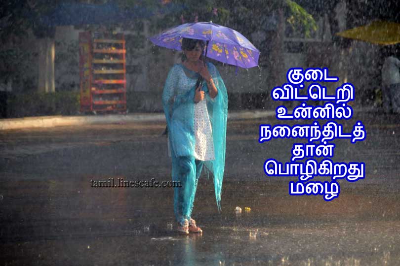 Love Quotes In Tamil For Girls With Images மழை தமிழ் காதல் கவிதை வரிகள் கவிதைகள் படங்கள்