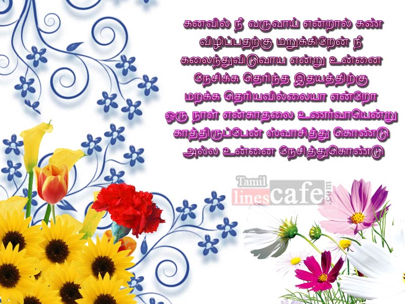 Tamil Kavithai About Girls Love Kanavu Feeling Tamil Kavithai Lines With Pictures