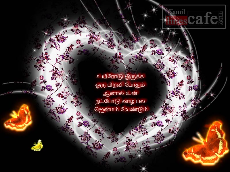 Very Cute Friendship Poem Photos In Tamil With Super True Friendship Lines For Share In Facebook Whatsapp Twitter
