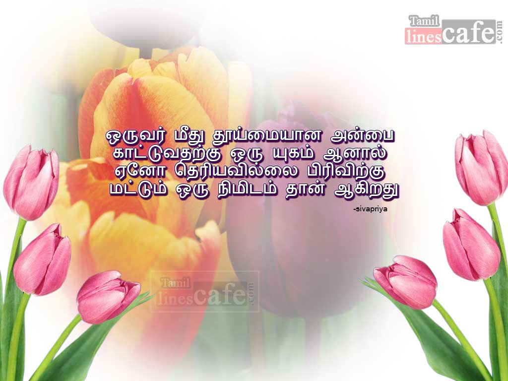 Best Natpu Quotes In Tamil