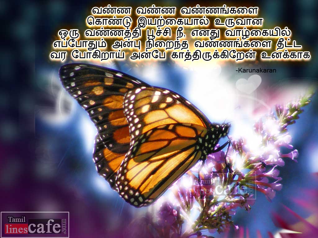 Tamil Kadhal Kavithaigal With Beautiful Butterfly Images For Sharing Facebook Whatsapp Status