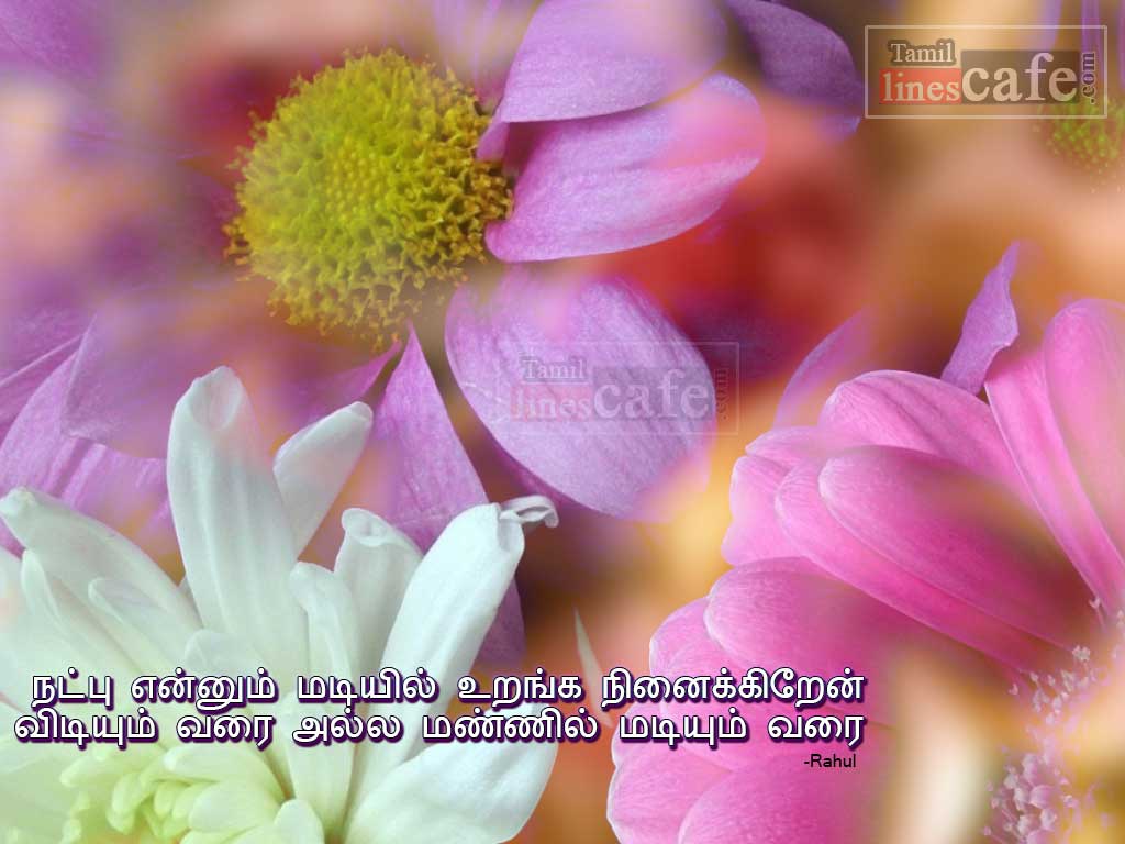 Lovely Quotes In Tamil About True Friendship With HD Wallpapers For Send To Your Friends