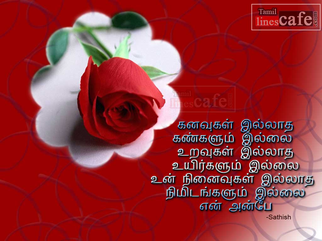Tamil Poems Kadhal Varigal For Girlfriend Or Boyfriend With Cute Rose Hd Images For Sharing Facebook Whatsapp Status
