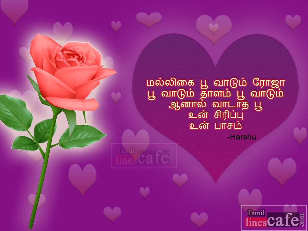 Harshu's Super Tamil Kadhal Kavithaigal Messages With Rose Flower Pictures For Download