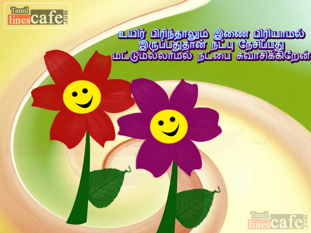 Super Friendship Tamil Kavithaigal Messages With Wonderful HD Wallpapers For Send To Your Friends