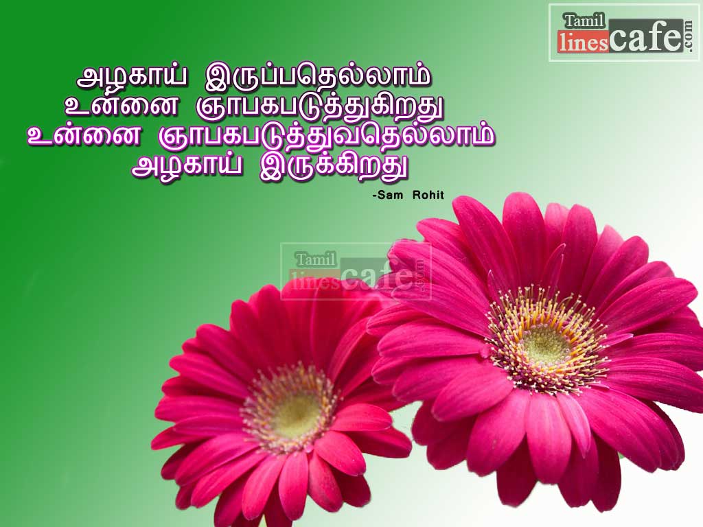 Sweet Love Poem Lines In Tamil For A Girlfriend With Lovely Flower Images For Sharing Facebook Whatsapp Status