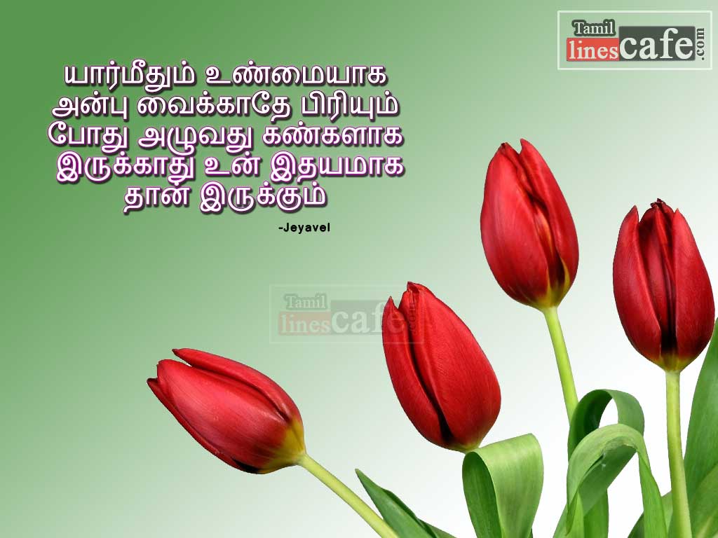 Hate Love Quotes In Tamil Sms With High Quality Images For Sharing Facebook Whatsapp