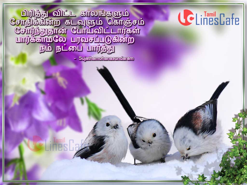 Lovely Hd Wallpapers With Superb True Friendship Poem Lines In Tamil For Share With Your Dear Friends