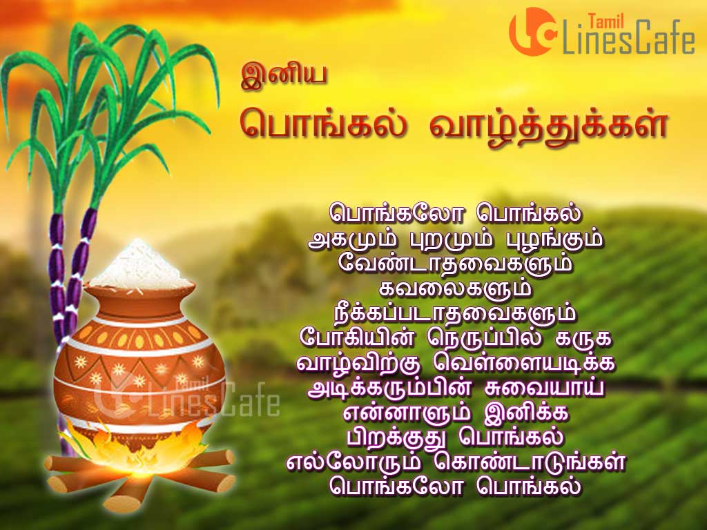 Pongalo Pongal Happy Pongal Tamil Wishes Tamil Poems About Pongal With Hd For Facebook Whatsapp Status