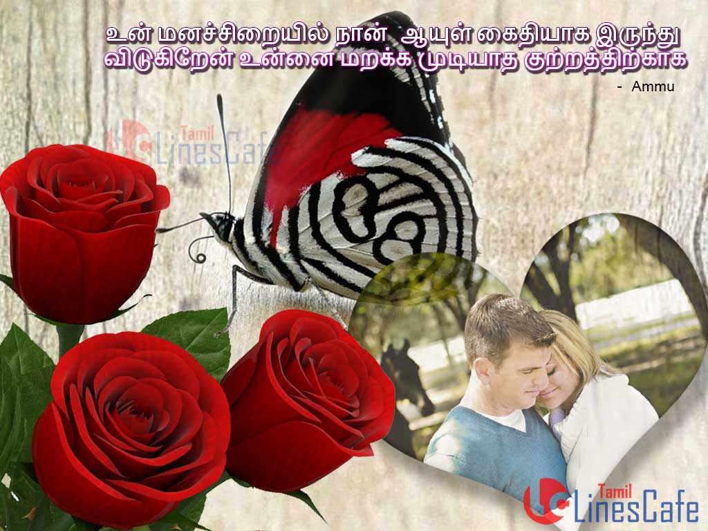 Superb Tamil Kathal Kavithai Varigal With Lovely Rose And Butterfly Background Wallpaers For Fb Cover Photos