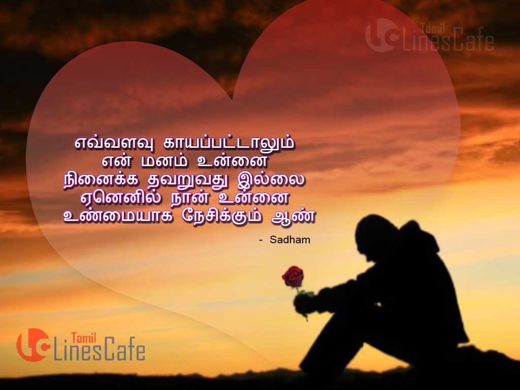 Heart Touching Lonely Feeling Sad Love Feel Quotes In Tamil Font With Sad Boy Background Images For Boys