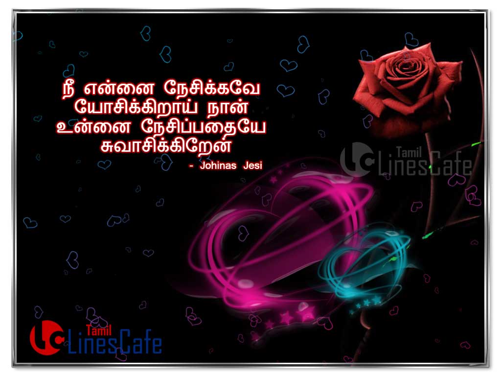 Tamil Love Sayings For Her With Rose Background Hd Images For Share On Facebook Whatsapp