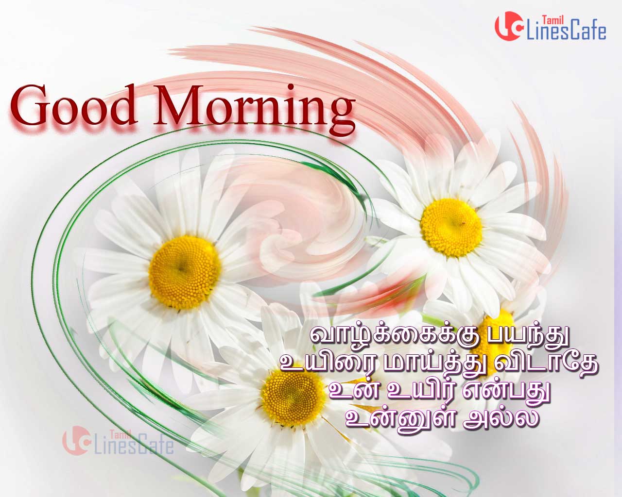 Tamil Good Morning Messages And Poems For Lovers And Friends With Poems And Quotes
