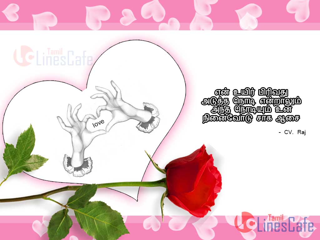 Cute Love Tamil Quotes And Sayings Messages With Rose Love Hd Photos For Fb Cover Photos