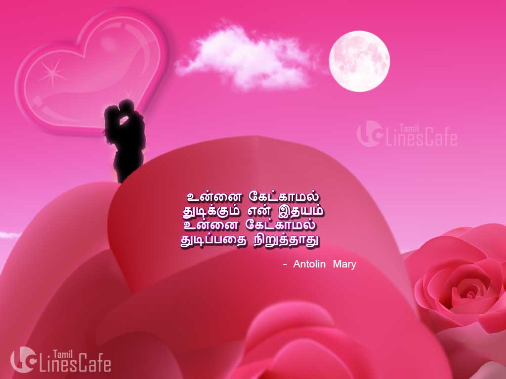Super Love Heart And Rose Hd Pictures with New Tamil Kadhal Idhayam Sms Messages For Whatsapp Sharing