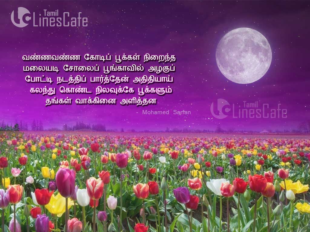 Tamil Poems About Moon In Tamil Language And Tamil Font With Images About Moon