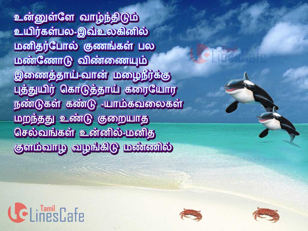 Tamil Images Of Sea Poems And Quotes With Sea Sms messages In tamil