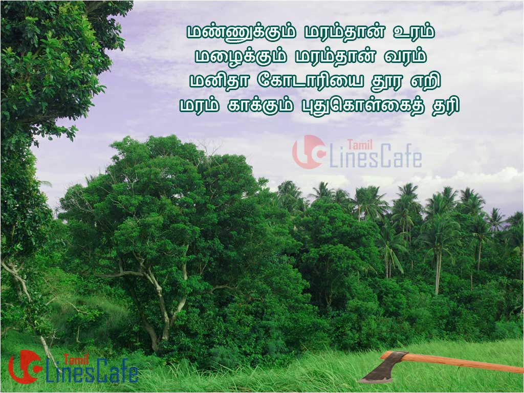 Marangal Patri Tamil Kavithai Sms messages With Beatiful Quotes About Tree In Tamil