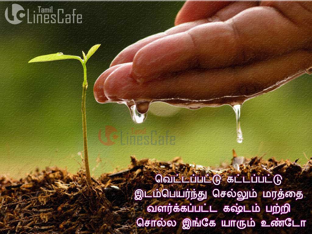 Tamil Poems About Trees And Deforestation With Images And Quotes In Tamil language