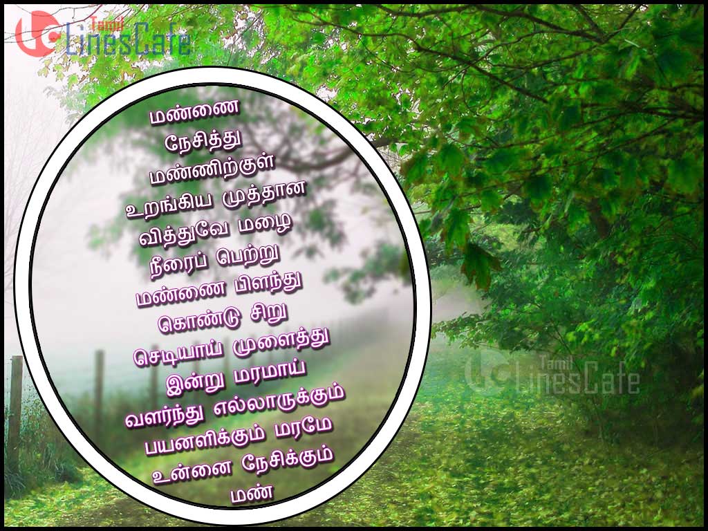 Maram Kavithai In Tamil With Tree Images
