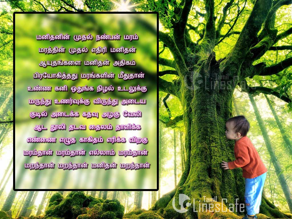 Tree Poems In Tamil Language And Font With Images Of Tree
