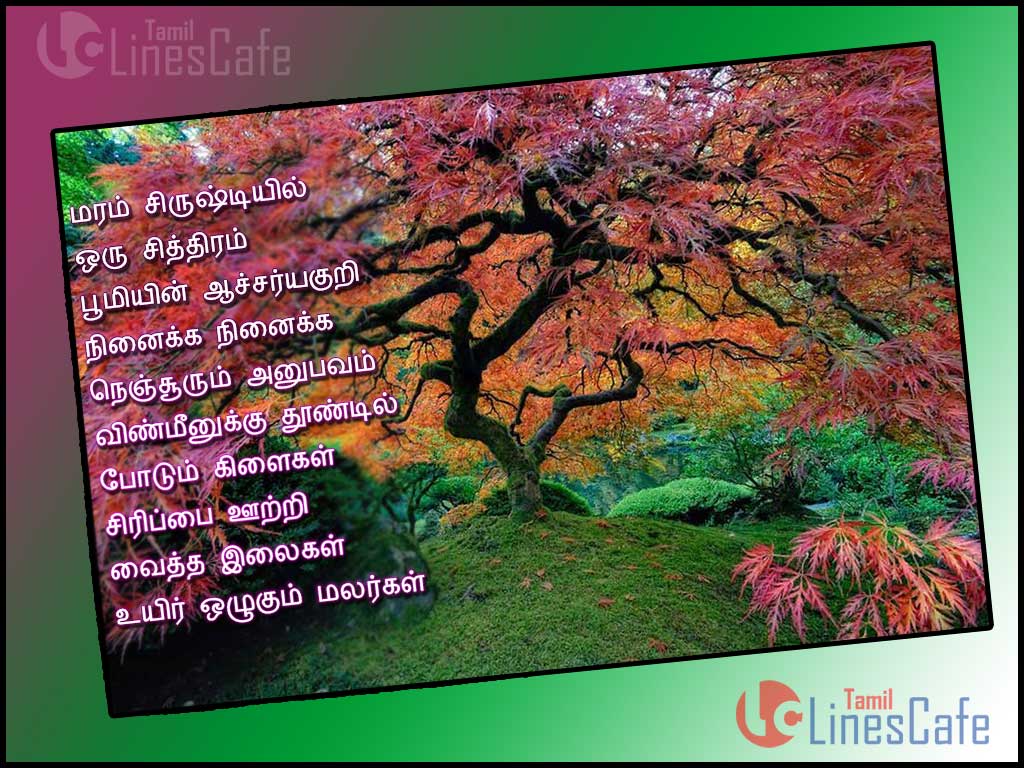 Tamil Kavithai Quotes About Tree In Tamil With Images For Download