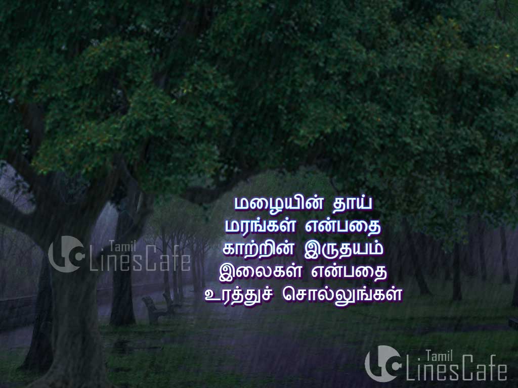 Quotes And Poems About Tree And Rain In Tamil