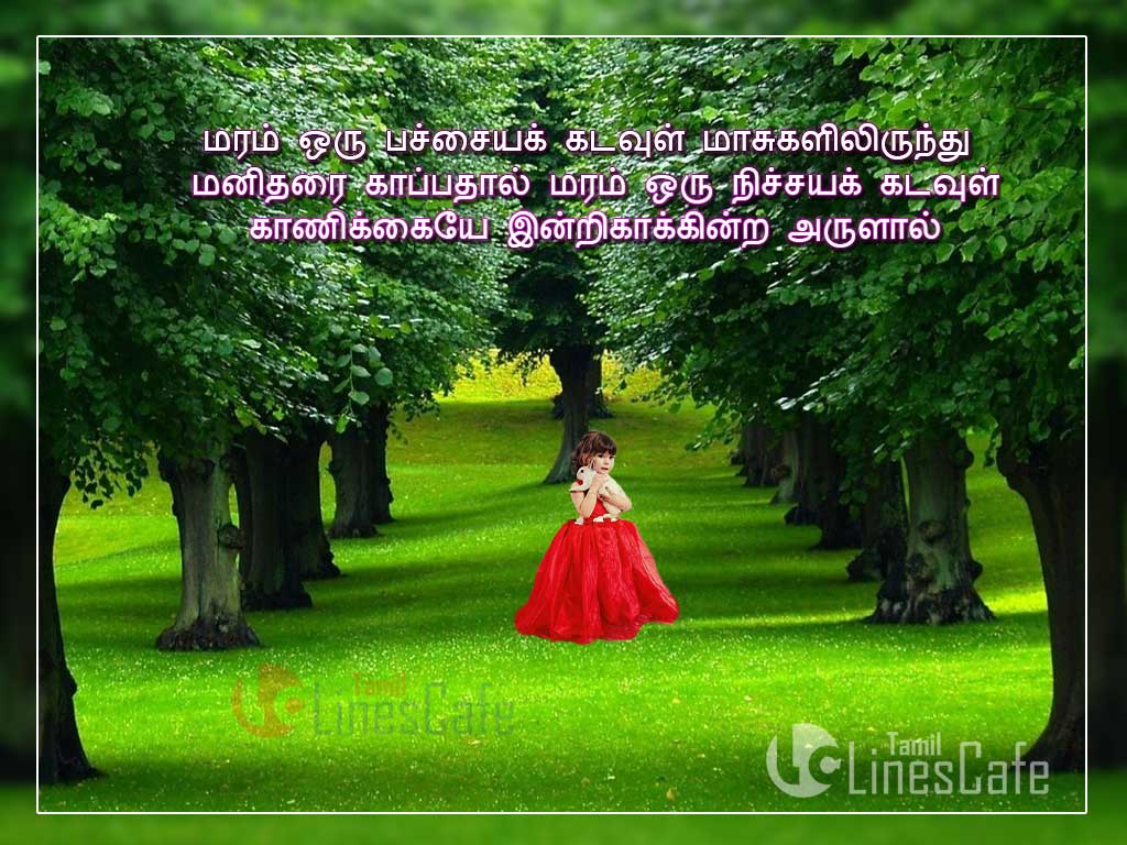 (230) Green Tree Images With Tamil Quotes<strong>(Image Download)</strong>

Maram Oru Pachaya Kadavul Maasugalilerunthu Manitharai Kaapathal  Maram Oru Nichaya Kadavul Kanikaiye Intri  Kaakintra Arulal 