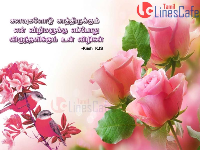 Love Kavithai Pictures With Love Rose Kadhal Kavithai Varigal Messages Poem Lines To Lovedones