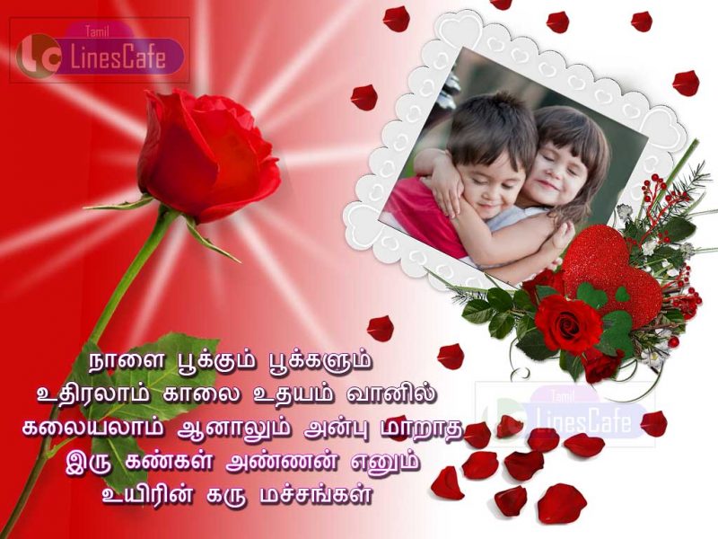 Annan Anbu Tamil Kavithai By Thangai Thangachi Latest Tamil Sister And Brother Quotes