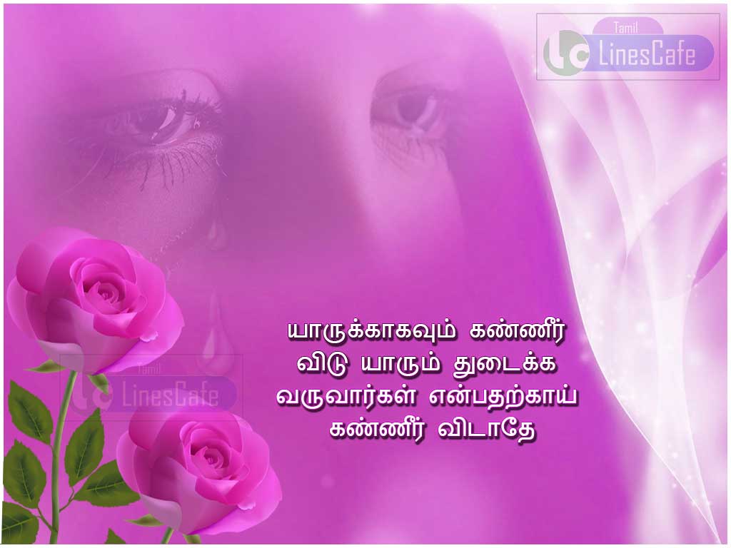 Tamil Motivation And Inspiration Latest Tamil To Share On Facebook And Whatsapp