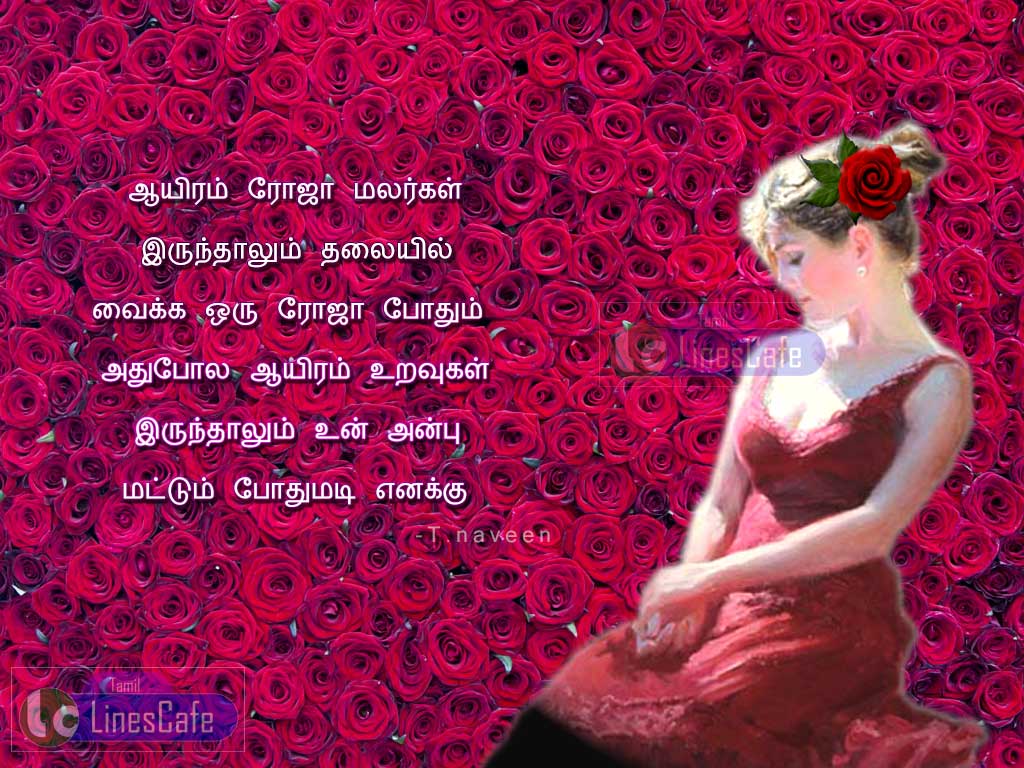 Beautiful Red Roses Background Images With Kadhal Kavithai By T.Naveen For Fb Share