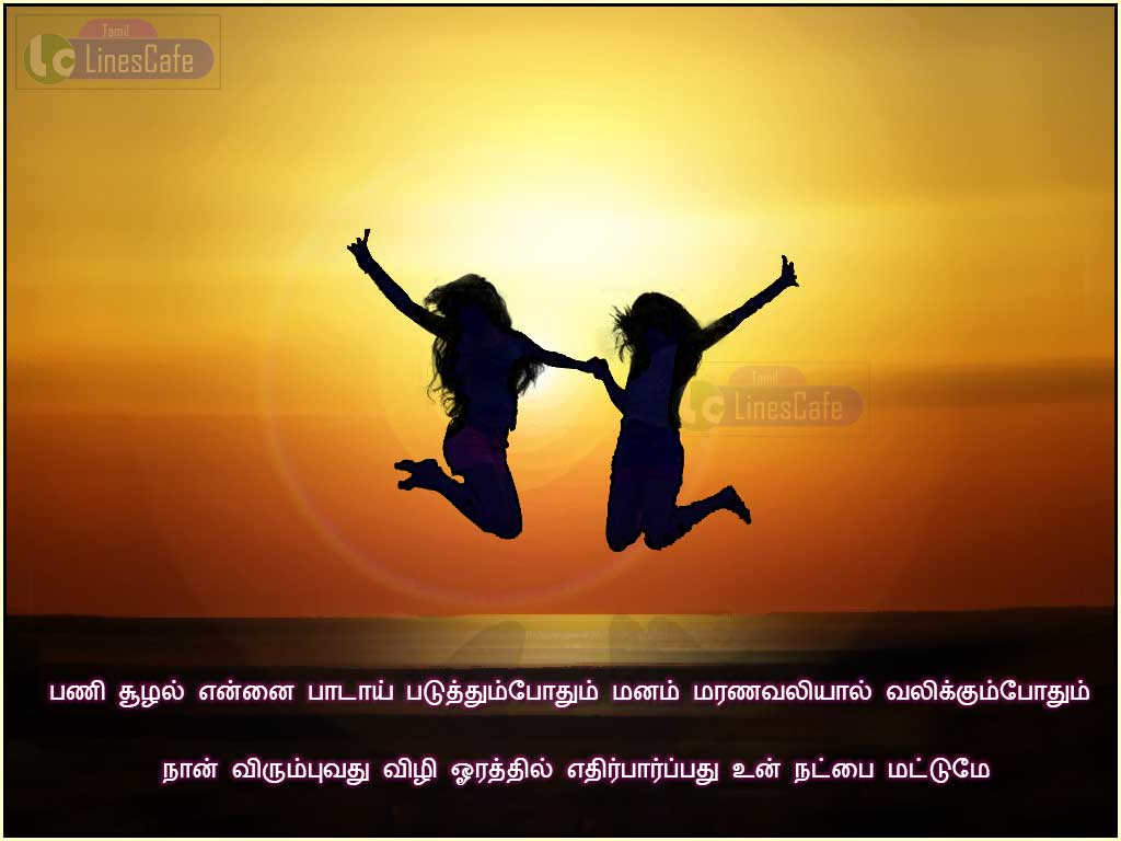 Friendship Hd Wallpapers With Friendship Quotes In Tamil Language For Friends