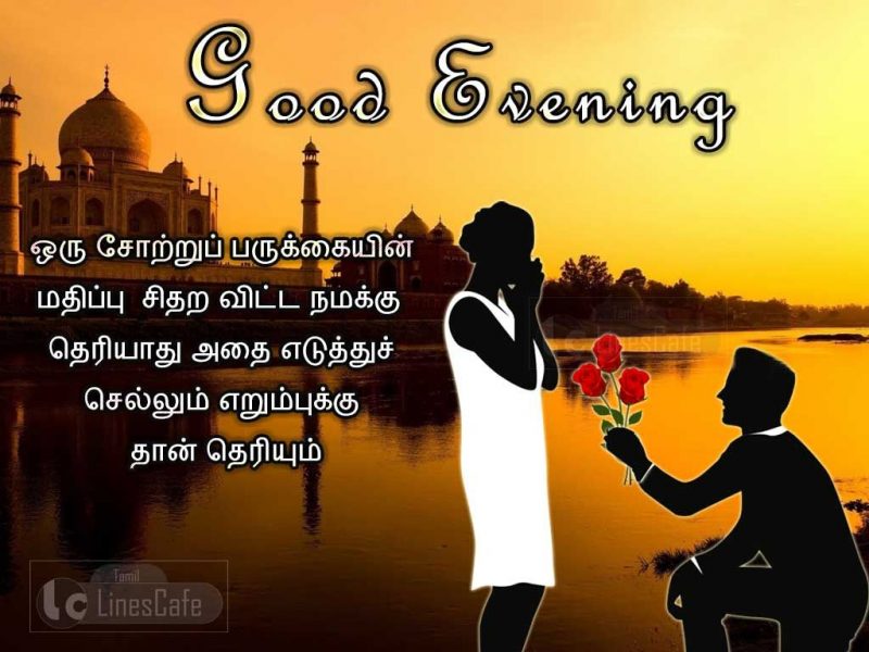 Best Tamil Kavithai Quotes For Wishing Good EveningOru Sotru Parukkkaiyin Mathippu Sithara Vita Namaku Theriyathu Adhai Yeduthu Sellum Erumbukku Than Theriyum