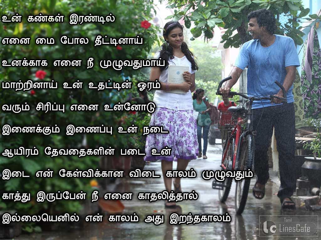  Cute  Tamil  Love  Quotes  And Images For Her Tamil  