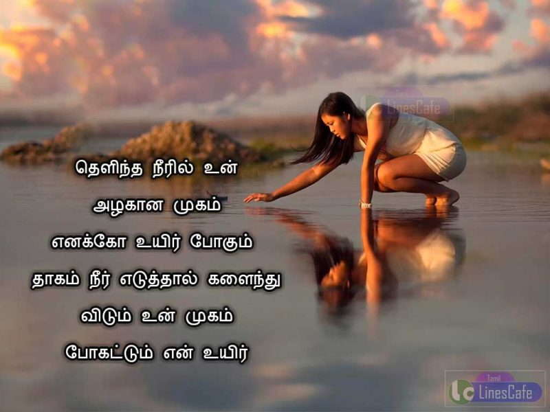 Heart Touching Tamil Love Kavithai PictureThelintha Neeril Un Azhagana  Mugam Enako Uyire Pogum Thagam Neer Eduthal Kalainthu Vidum Un Mugam Pogattum En Uyire   