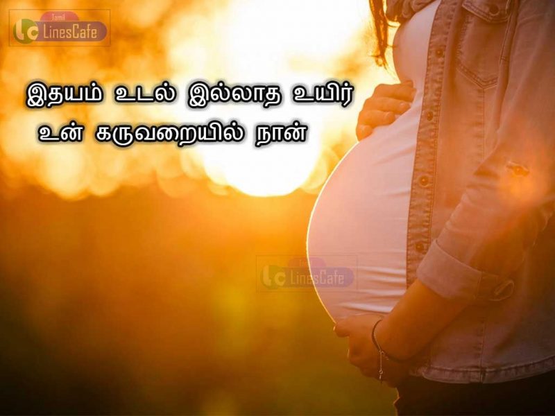 Thayin Karuvarai Kavithai Best Tamil Quotes ImageIDHAYAM udal illathe uyirun karuvarail naan...