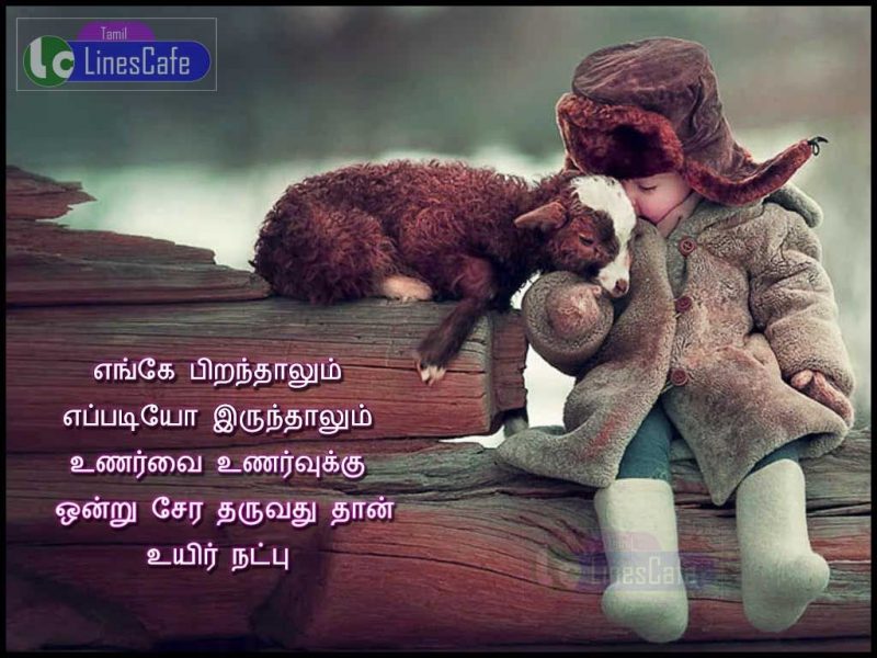 Latest And New Tamil Kavithaigal | Tamil.LinesCafe.com