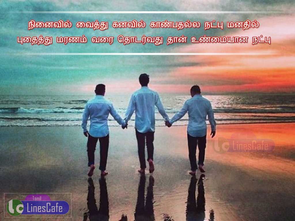 True Friendship Tamil Quotes New | Tamil.LinesCafe.com